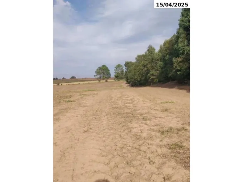 Imóvel rural em leilão