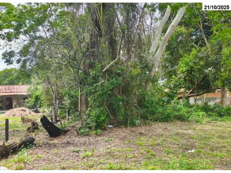 Terreno em leilão