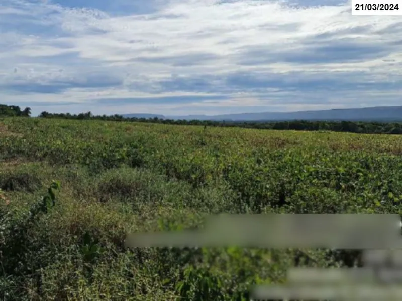 Imóvel rural em leilão