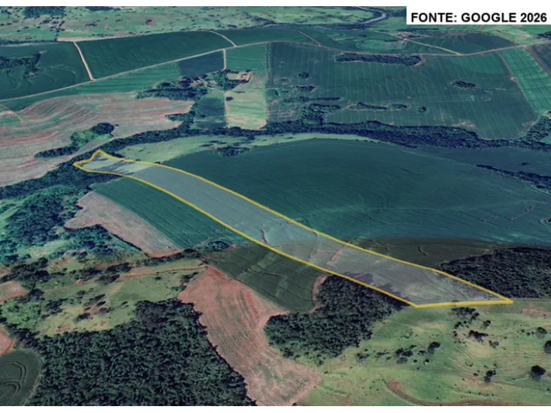 Imóvel rural em leilão