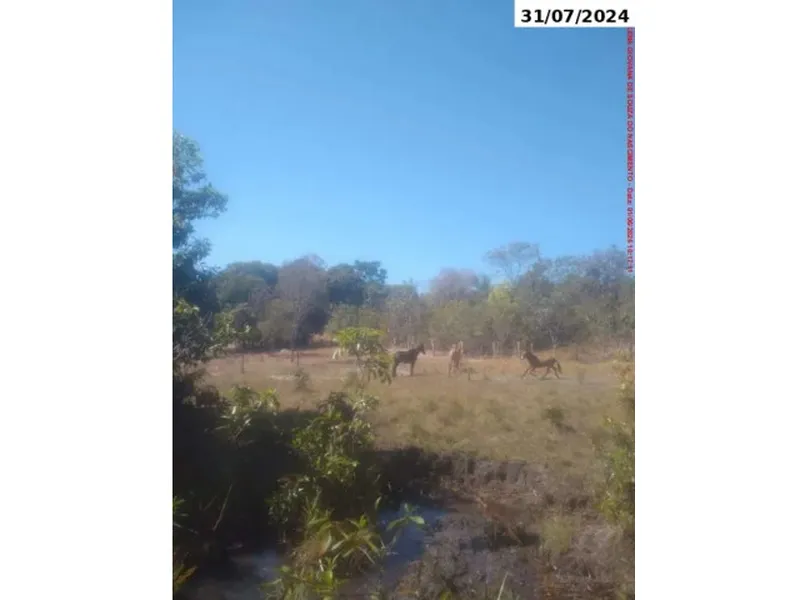 Imóvel rural em Leilão Judicial