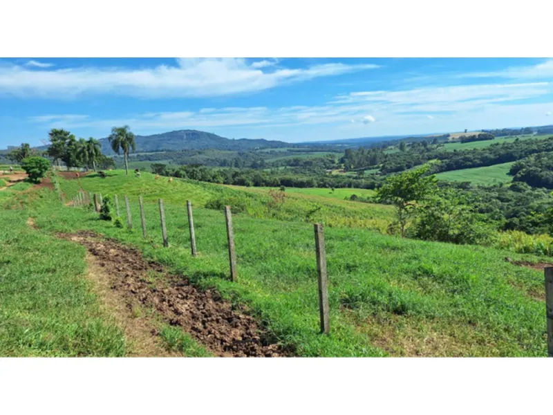 Imóvel rural em leilão