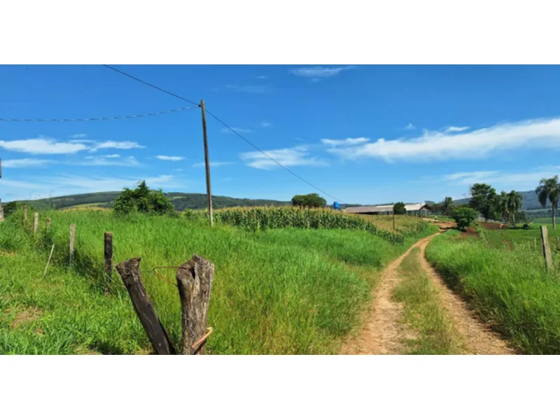 Imóvel rural em Leilão Judicial