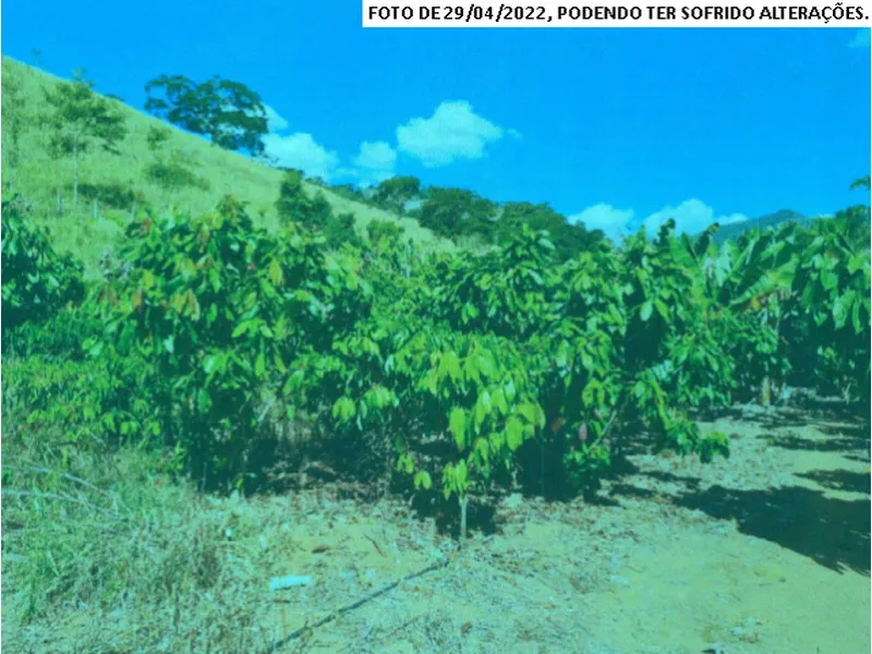 Imóvel rural em leilão