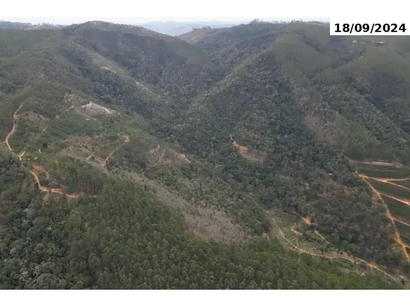 Imóvel rural em Leilão Judicial