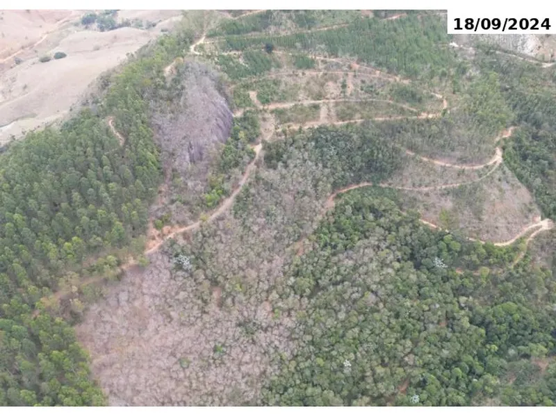 Imóvel rural em leilão