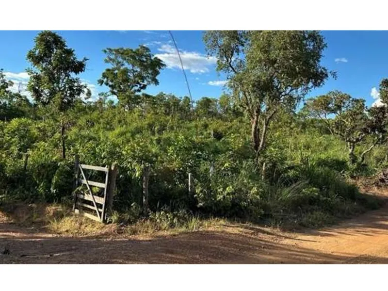 Imóvel rural em Leilão Judicial
