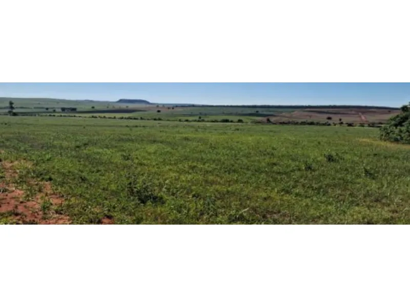 Imóvel rural em leilão