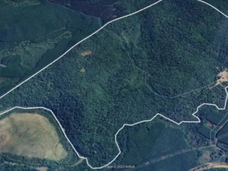 Outros em Leilão Judicial