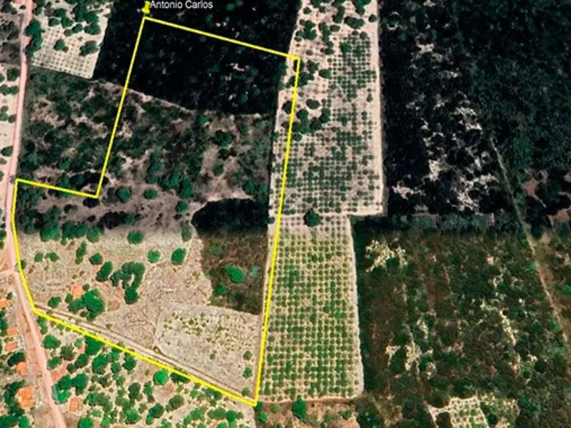 Imóvel rural em Leilão Extrajudicial