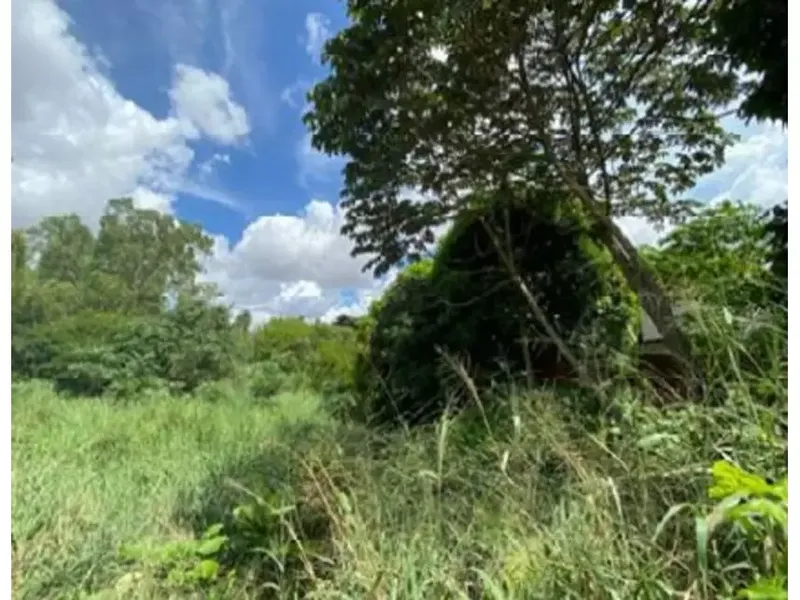 Terreno em leilão