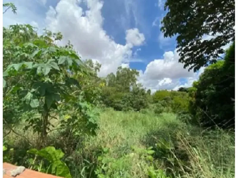 Terreno em leilão