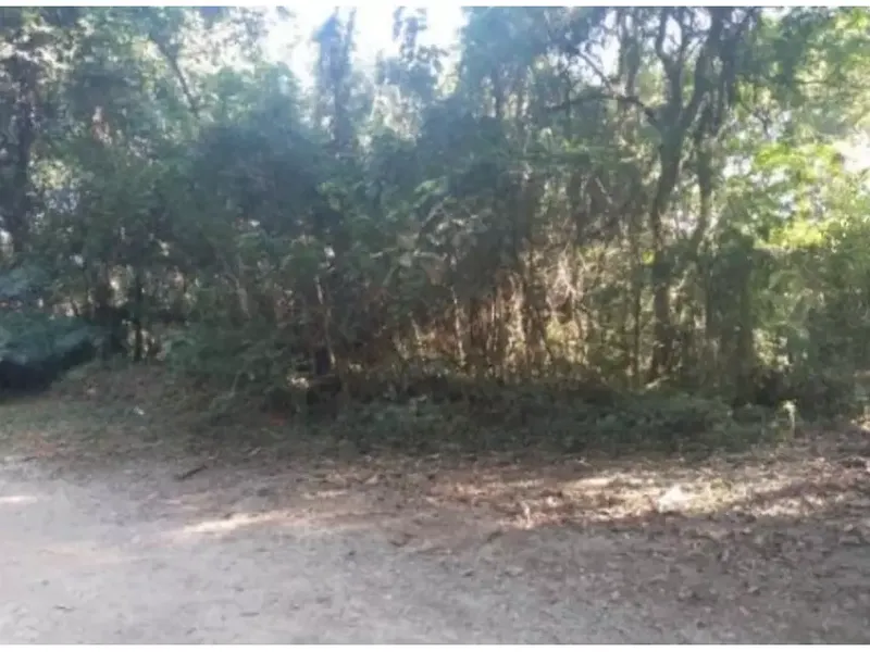 Terreno em Leilão Judicial