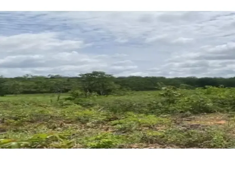 Imóvel rural em Leilão Extrajudicial