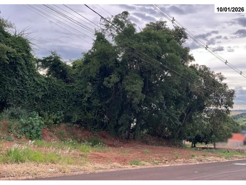 Imóvel rural em leilão