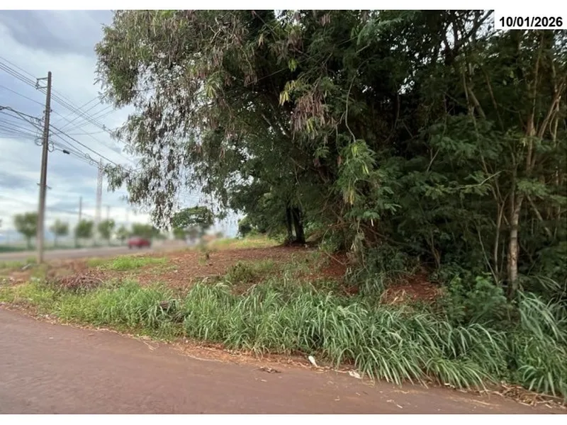 Imóvel rural em leilão
