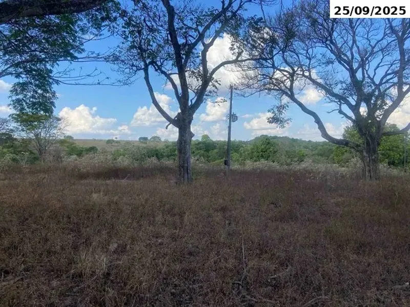 Imóvel rural em Leilão Judicial