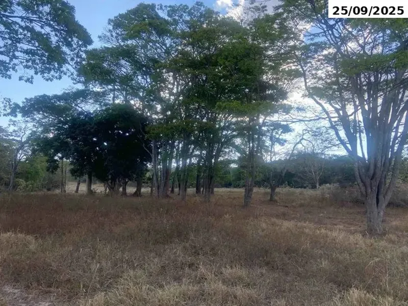 Imóvel rural em leilão