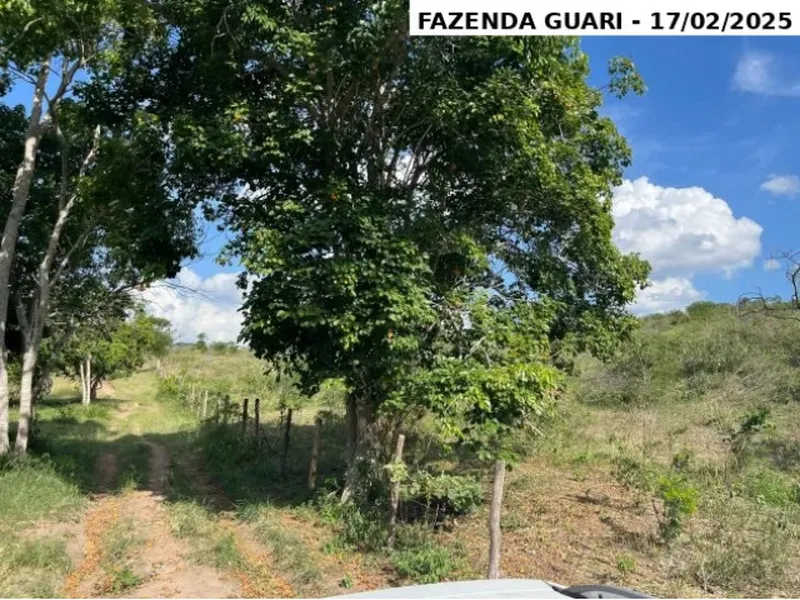 Imóvel rural em leilão