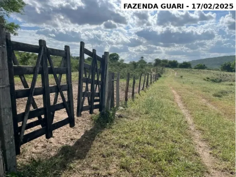 Imóvel rural em leilão