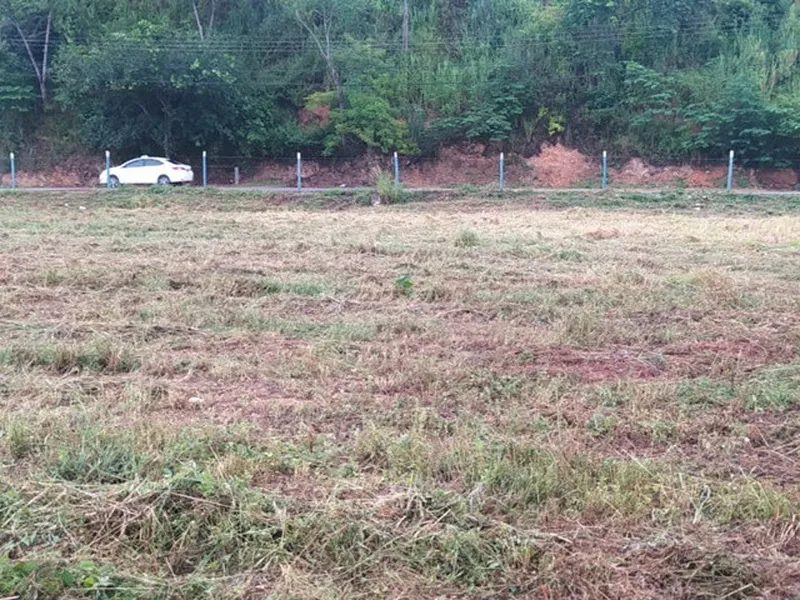 Outros em leilão