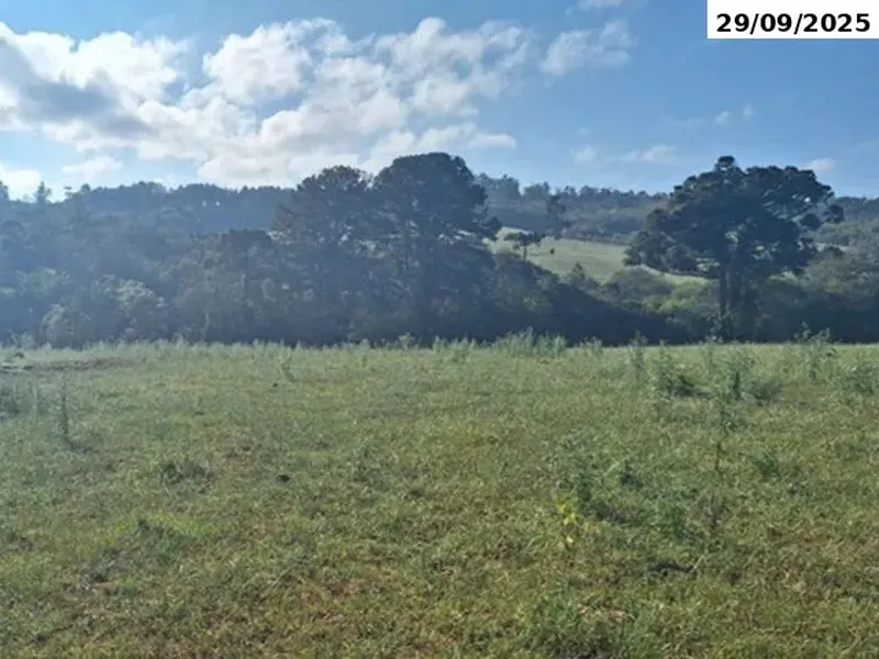 Imóvel rural em leilão
