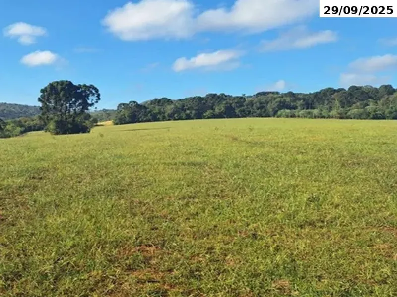 Imóvel rural em leilão