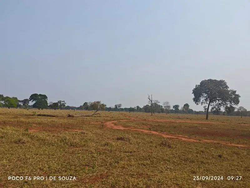 Imóvel rural em leilão