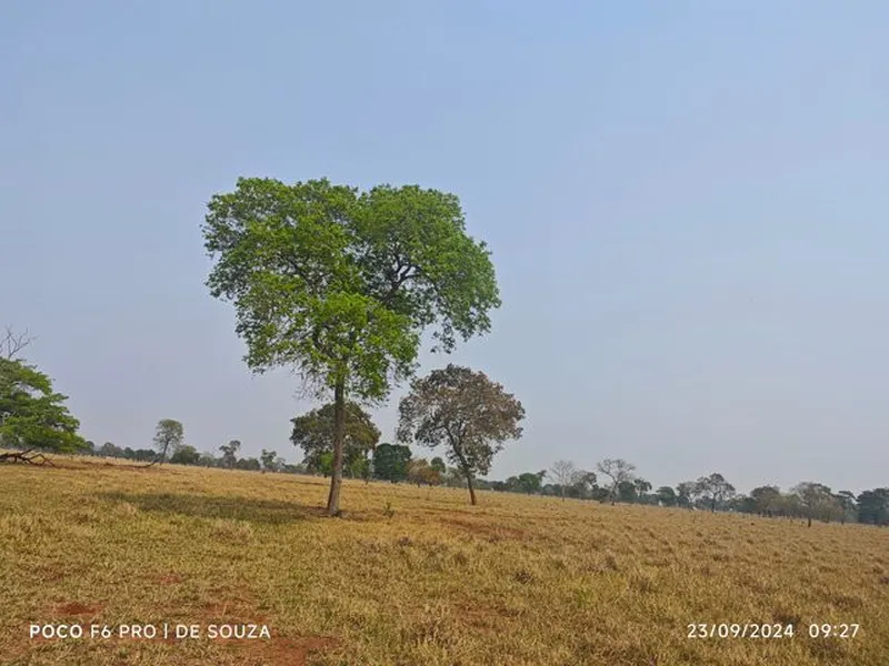 Imóvel rural em leilão