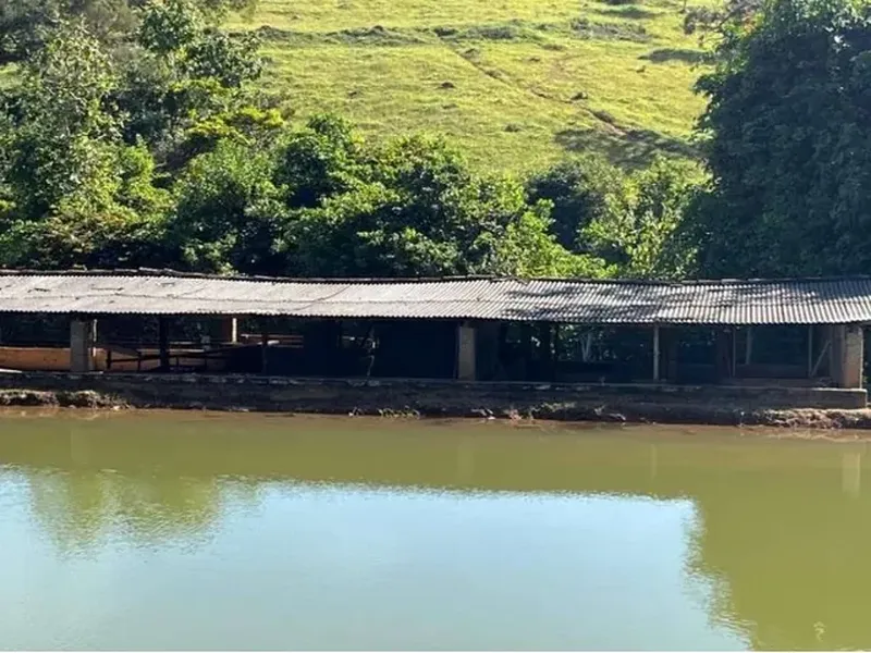 Imóvel rural em leilão