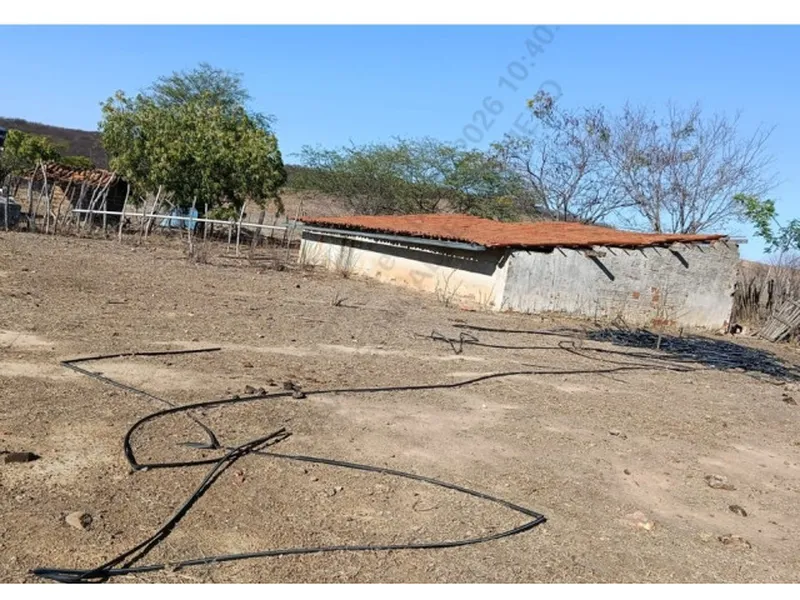 Imóvel rural em leilão