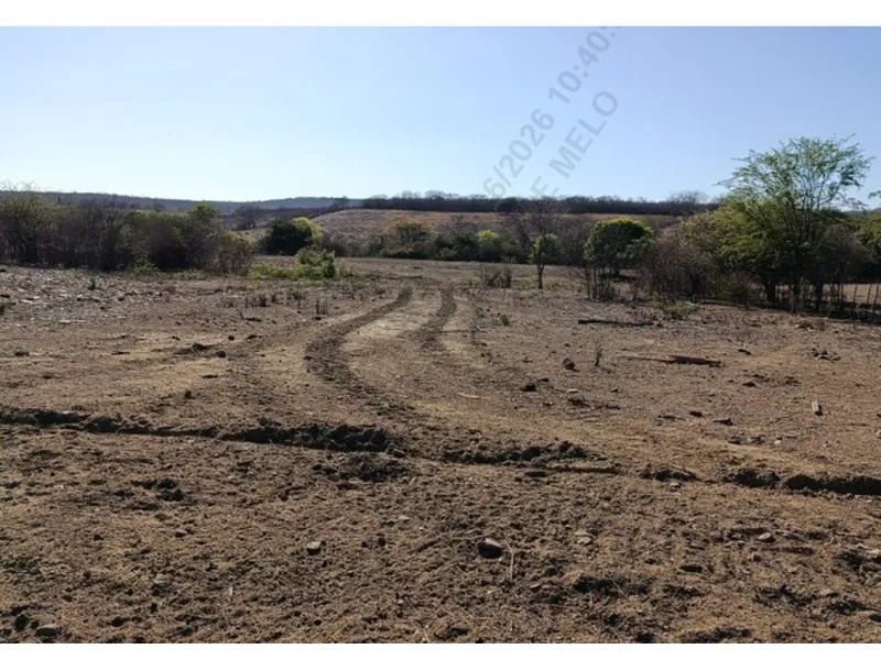 Imóvel rural em leilão