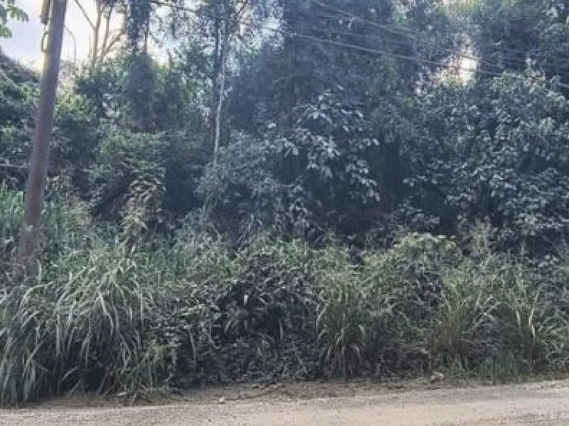 Gleba em Leilão Extrajudicial