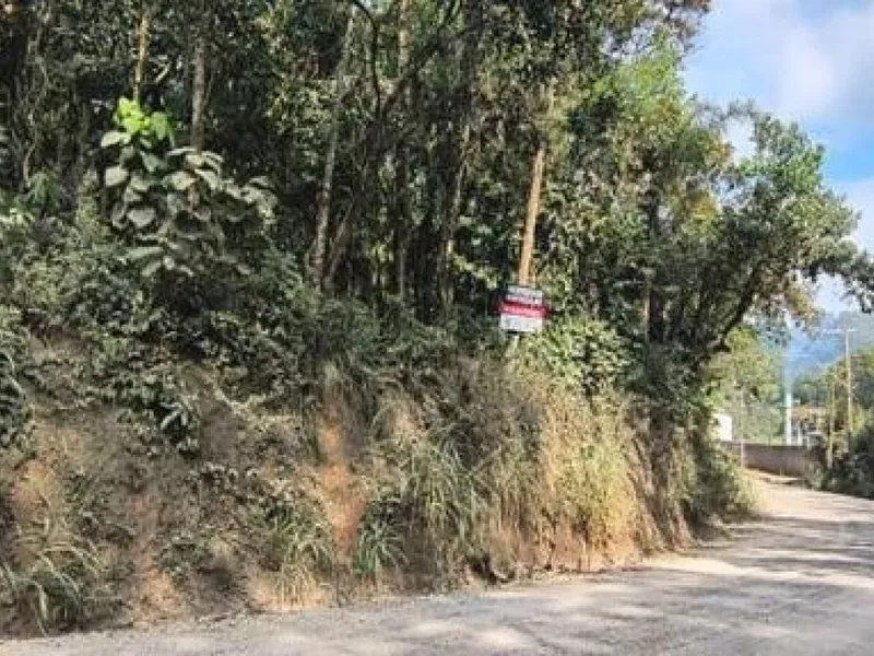 Gleba em leilão