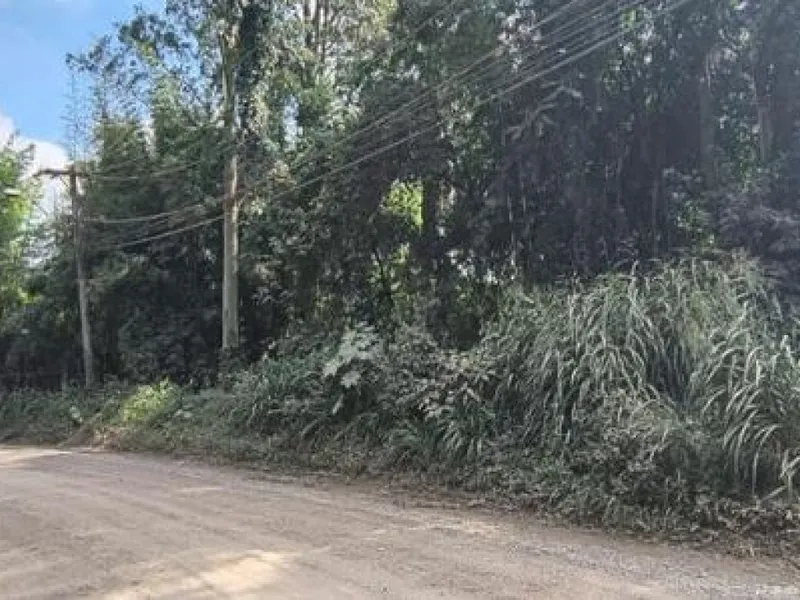 Gleba em leilão