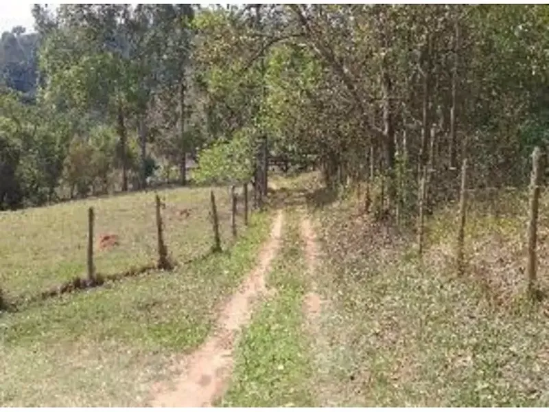 Imóvel rural em leilão