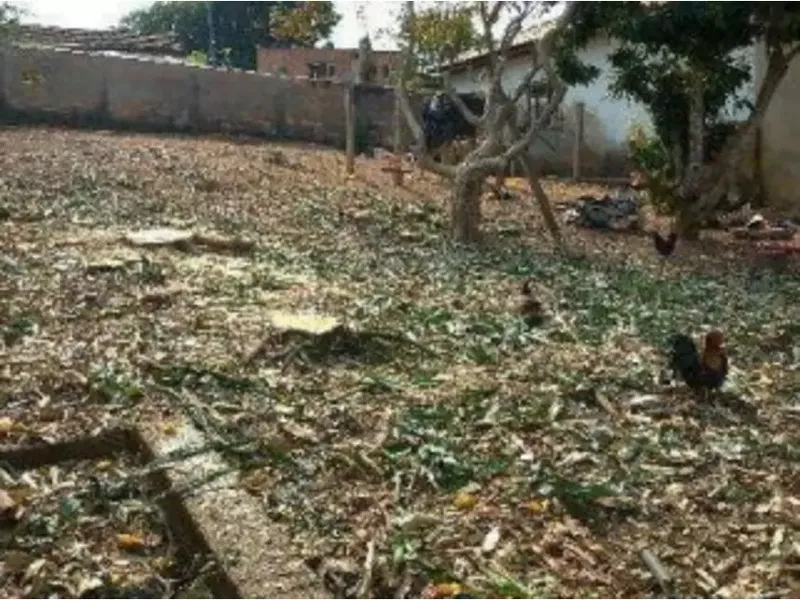 Terreno em leilão