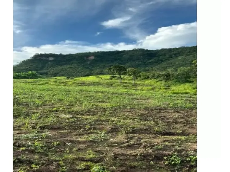 Imóvel rural em Leilão Extrajudicial