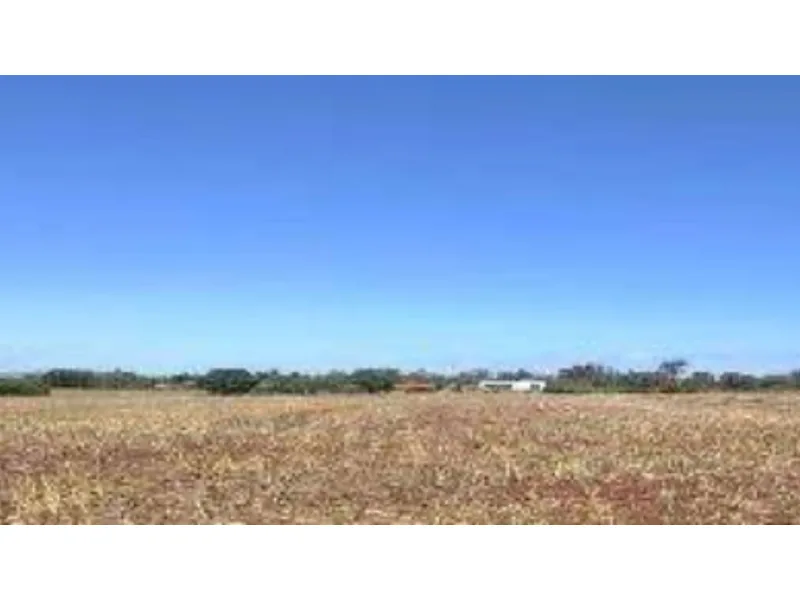 Imovel-rural em leilão