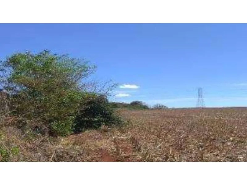 Imovel-rural em leilão