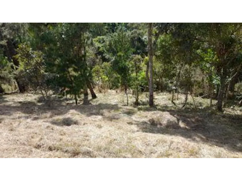 Terreno em leilão