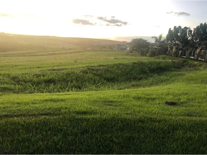 Terreno em leilão