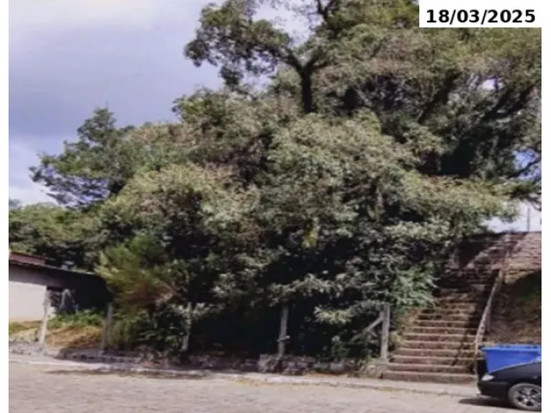 Terreno em leilão