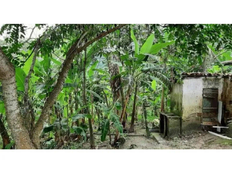 Imóvel rural em Leilão Judicial