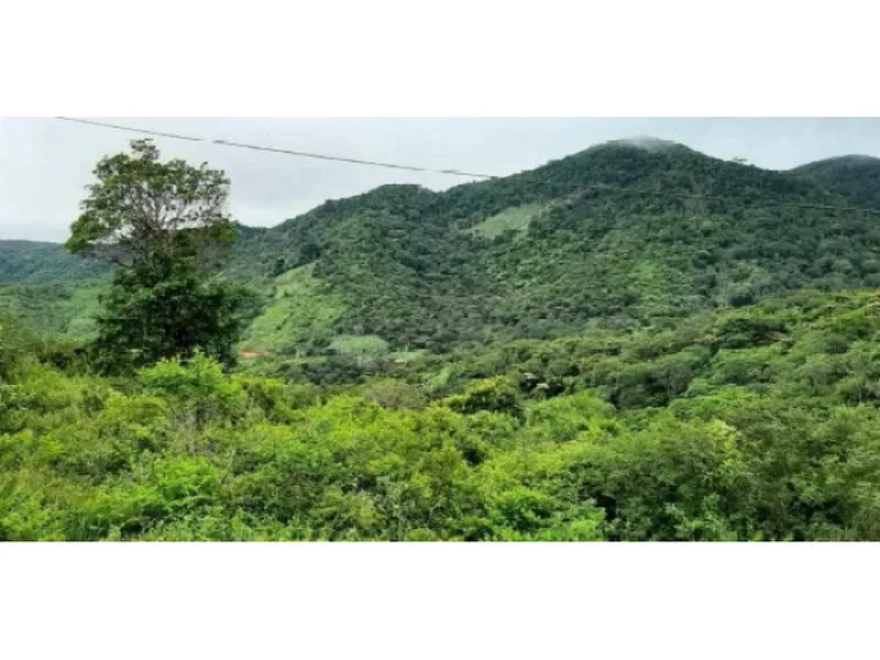 Imóvel rural em Leilão Judicial