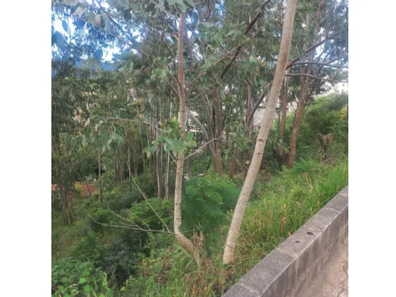 Terreno em leilão