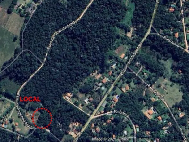 Outros em leilão