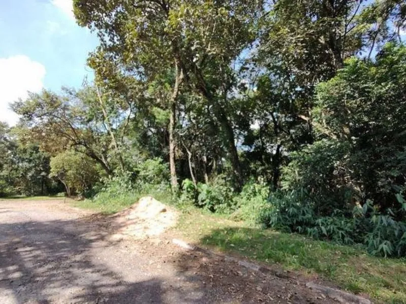 Terreno em leilão