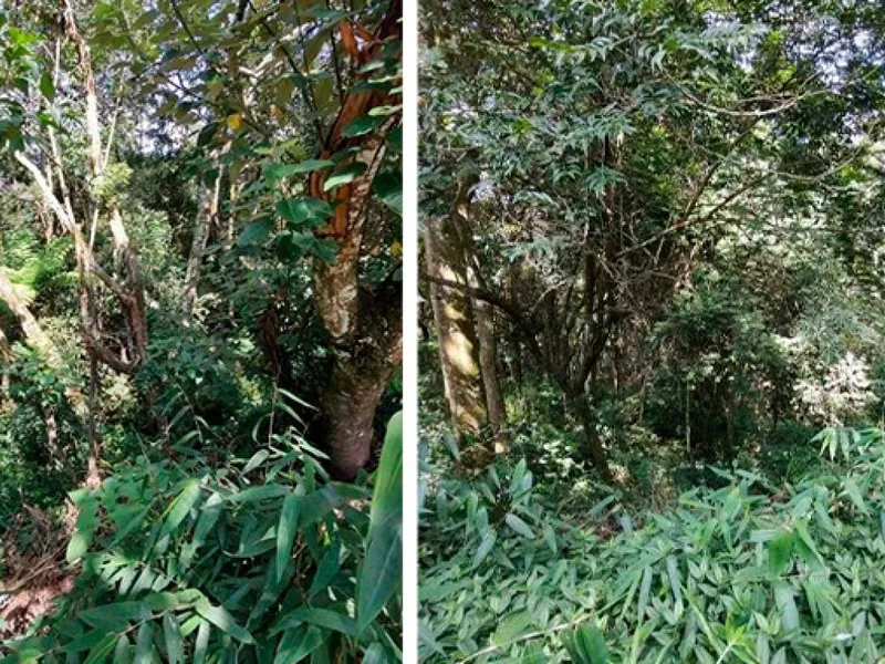 Terreno em leilão