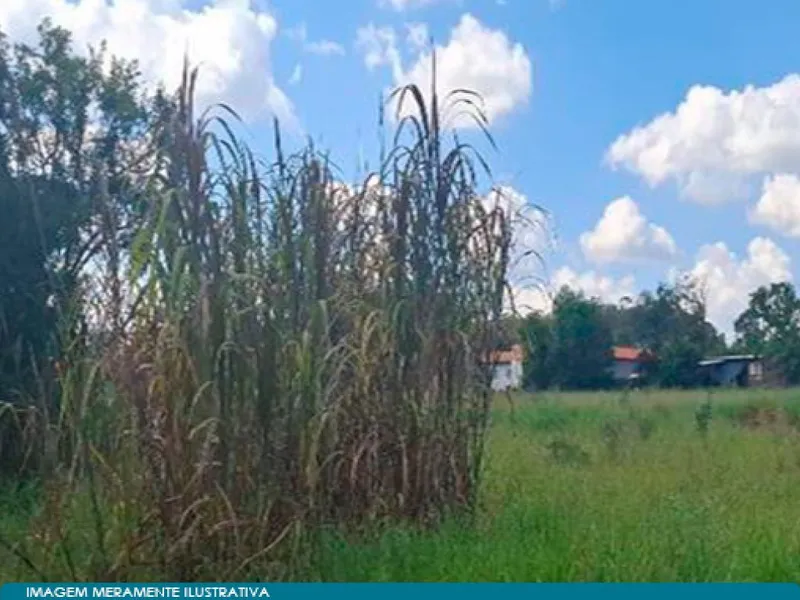 Terreno em Leilão Judicial